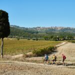 tuscany-hillwalking-holidays-montalcino (3)